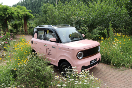 Picture for category Miniature Passenger Vehicles