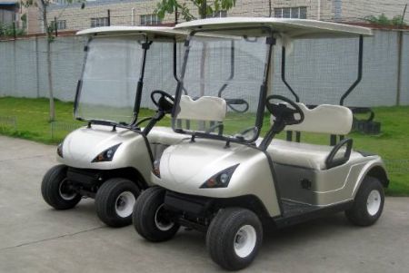 Picture for category Electric Golf Carts