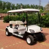 Picture of Scenic Electric  Sightseeing Cart