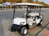 Picture of Scenic Electric  Sightseeing Cart