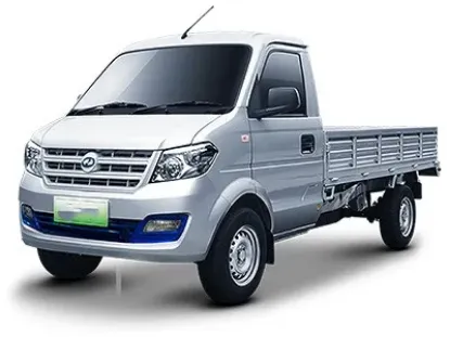 Picture of Rich EC31 electric pickup truck Cargo Van/ Box
