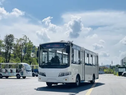 Picture of 23 Passenger Rhd Mini Bus Electric Bus