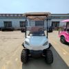 Picture of Electric Golf Cart Off-Road Safari Car 4 6seater 60v72vgolf Cart Custom Tour Electric Shopping Cart Sale Golf Buggy Electric