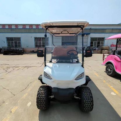 Picture of Electric Golf Cart Off-Road Safari Car 4 6seater 60v72vgolf Cart Custom Tour Electric Shopping Cart Sale Golf Buggy Electric