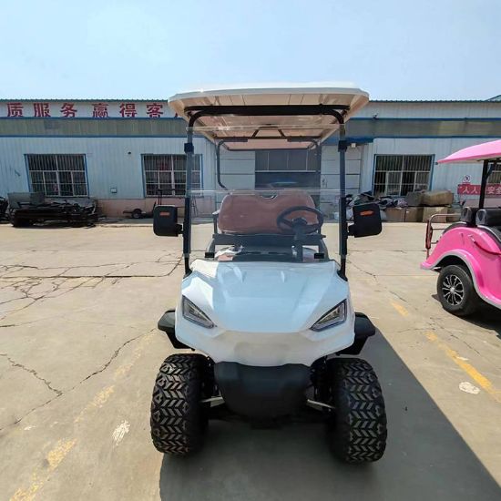 Picture of Electric Golf Cart Off-Road Safari Car 4 6seater 60v72vgolf Cart Custom Tour Electric Shopping Cart Sale Golf Buggy Electric