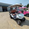 Picture of Electric Golf Cart Off-Road Safari Car 4 6seater 60v72vgolf Cart Custom Tour Electric Shopping Cart Sale Golf Buggy Electric