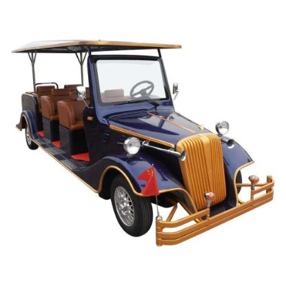 Picture of 8 seater electric personal transporter vehicle (LT-S8.FA)