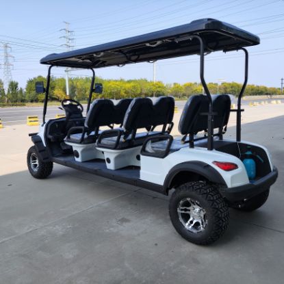 Picture of WINTAO 2024 New Style facing forward UTV 6 Seater  Golf Cart Lithium Lifted Electric Golf Cart Personal Transportation Vehicle