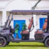 Picture of NEW 4 Seats Lifted Offroad Electric Hunting Golf Cart Buggy for sale