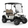 Picture of 2023 Borcart Car Golf Electric Club Personal Transport Vehicle With 2 4 6 Seater On Sale