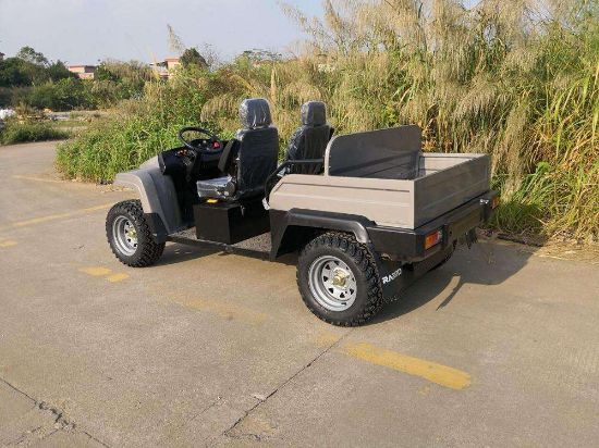Picture of Chinese electric off road UTV utility vehicle manufacturer