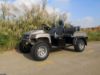 Picture of Chinese electric off road UTV utility vehicle manufacturer