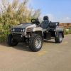 Picture of Chinese electric off road UTV utility vehicle manufacturer