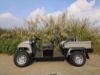 Picture of Chinese electric off road UTV utility vehicle manufacturer