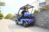 Picture of 4 Wheels electric passenger vehicle
