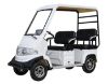 Picture of 4 Wheels electric passenger vehicle