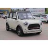 Picture of YANUO Mini Electric Vehicle 4-Wheeled and Affordable New Energy Vehicle Made in China