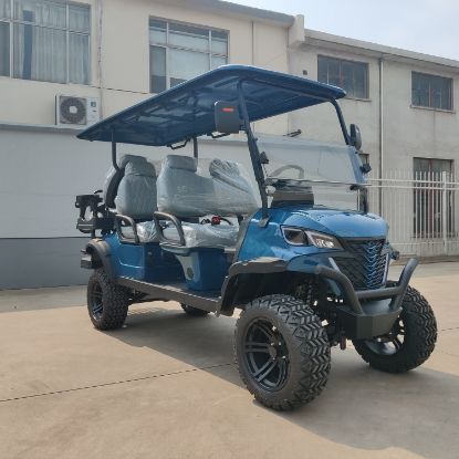 Picture of WINTAO 2024 New Style facing forward UTV 6 Seater  Golf Cart Lithium Lifted Electric Golf Cart Personal Transportation Vehicle