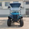 Picture of WINTAO 2024 New Style facing forward UTV 6 Seater  Golf Cart Lithium Lifted Electric Golf Cart Personal Transportation Vehicle