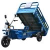 Picture of 1000W Electro-tricycle Three Wheel Electric Transport Vehicle Made In China