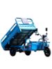 Picture of 1000W Electro-tricycle Three Wheel Electric Transport Vehicle Made In China
