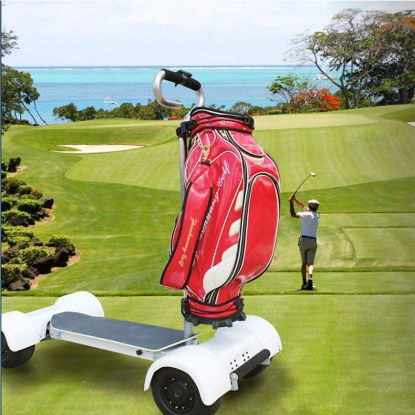 Picture of ESWING Factory Price 1600W Powered Foldable 10 Inch 4 Big Wheels Electric Golf Cart Scooter for Sales