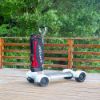 Picture of ESWING Factory Price 1600W Powered Foldable 10 Inch 4 Big Wheels Electric Golf Cart Scooter for Sales