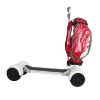 Picture of ESWING Factory Price 1600W Powered Foldable 10 Inch 4 Big Wheels Electric Golf Cart Scooter for Sales