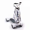 Picture of ESWING Factory Price 1600W Powered Foldable 10 Inch 4 Big Wheels Electric Golf Cart Scooter for Sales