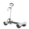 Picture of ESWING Factory Price 1600W Powered Foldable 10 Inch 4 Big Wheels Electric Golf Cart Scooter for Sales