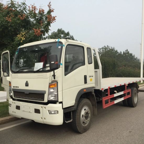 Picture of New HOWO Flatbed Cargo Trucks LHD RHD Sinotruk Dump Truck 2 ton 12 ton 4x2 4x4 Africa Type Factory Low Price sale