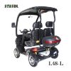 Picture of Hot Sale 1500W Double Seat Ebike 4 Wheel Electric Mobility Scooter City Electric Golf Cart With Roof